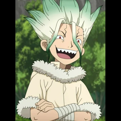 dottor stone, ishikami sangku, personaggio di anime, dr stone anime, dr senku stone