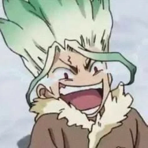 anime, l'anime est drôle, dr stone memes, dr stone manga, visage du dr stone senka