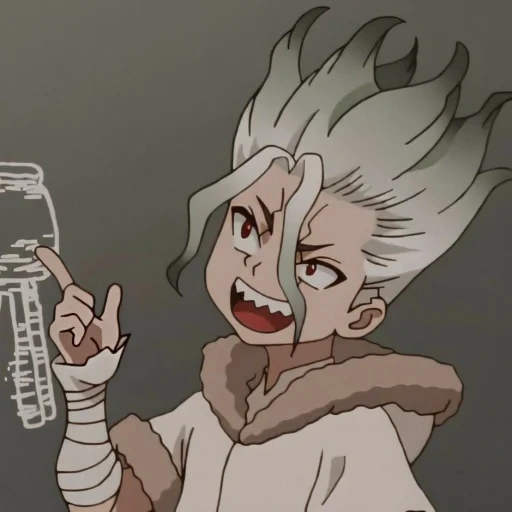 anime docteur, dr stone, personnages d'anime, anime dr stone, senka dr stone