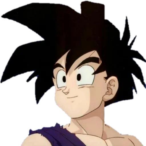 goku, gohan, schlaf goku, drachenperlen, gohan dragon bol