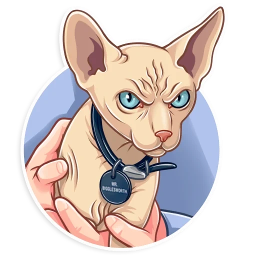 esfinge, doctor evil, el gato sphinx es vector, la caricatura de gato sphinx