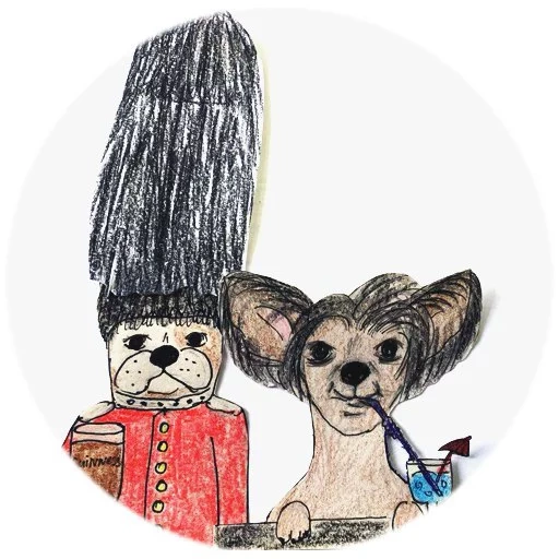 chiens, animaux à la mode, chienne de chihuahua, chihuahua avec un crayon