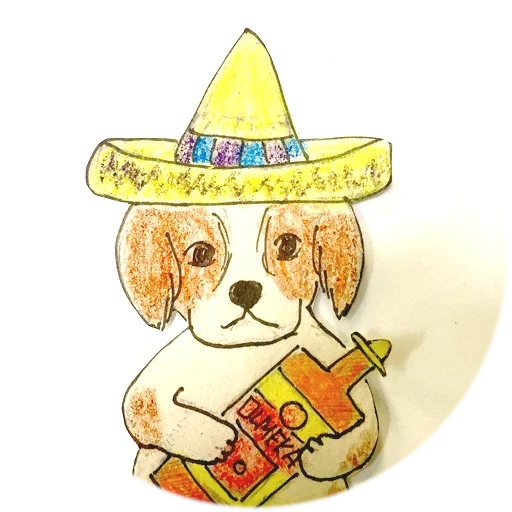 wide brimmed hat, animals, taco dog, animals are cute, wide brimmed hat