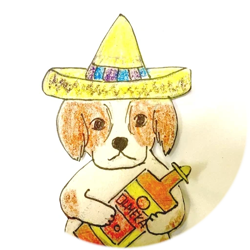 sombrero, animaux, tako un chien, les animaux sont mignons, chien sombrero