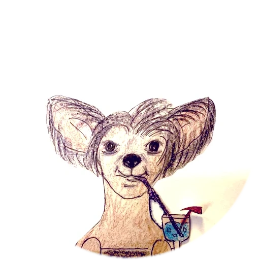 ka-chihuahua, pola chihuahua, pensil chihuahua