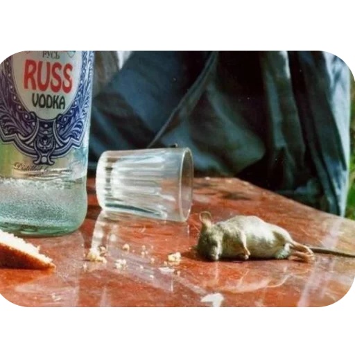 vodka, un bicchiere di vodka, un bicchiere di vodka, vodka bruciata, cinque bottiglie di vodka