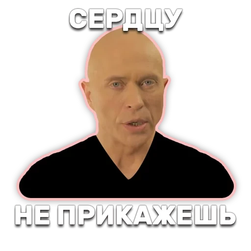 дружко, сергей евгеньевич дружко