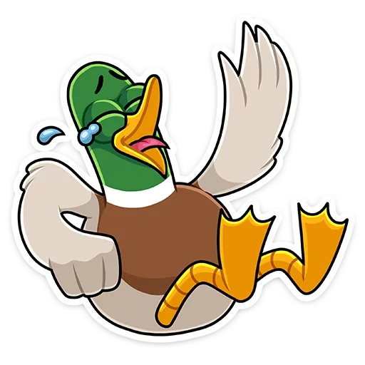you have, duck, discord