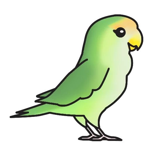 der papagei, der papagei, der papageienvogel, chibi papagei karte, netter papagei skizze