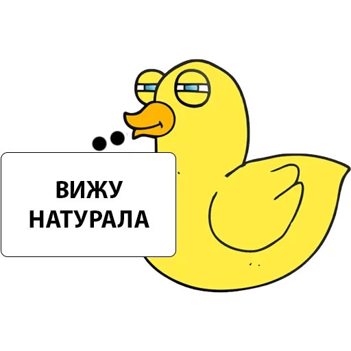 pato, pato, o pato é amarelo, pato de pato