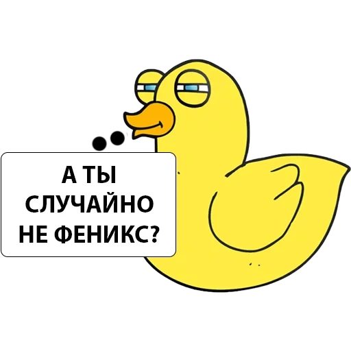 duck, duck, duck in vain, yellow duck