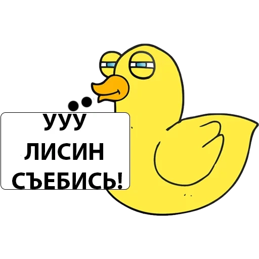 duck, duck, duck fbk, yellow duck, duck stickers