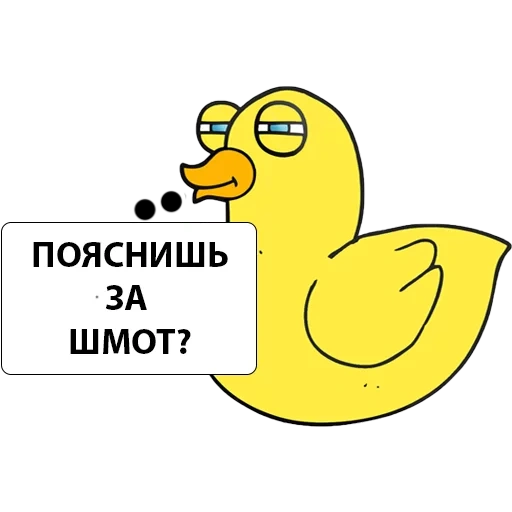 duck, duck, duck fbk, yellow duck