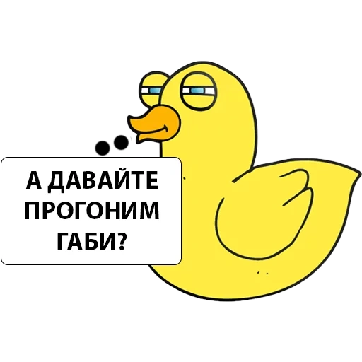 duck, ducks, duck, duck fbk, yellow duck