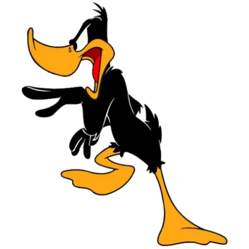 daffy duck, looney tunes, rooney dins show duck, duffy duck evil, daffy duck donald duck