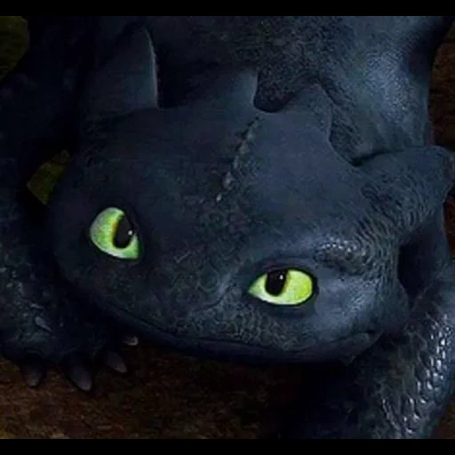 night fury, furia is a toothless, night fury is a trunk, turn the dragon toothless