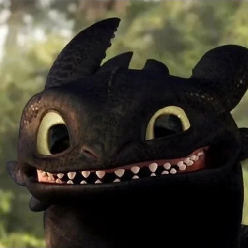 furia é um desdentado, o dragão não tem inútil, o sorriso de um desdentado, nightless night furia, vire o dragão desdentado de dentes