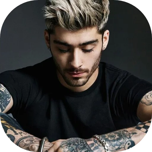 zayn, lembre se da minha, zane malik, zane malik pillowtalk, letras de pillowtalk zayn