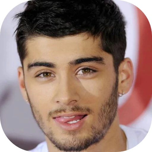 zayn, zane, malik, zanin malik, zane zanda