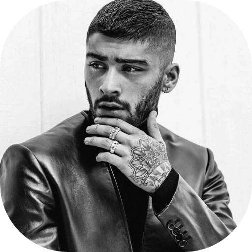 zayn, zane, roman zane, zane malik