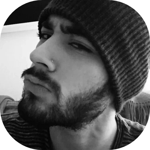 the male, human, twitter, zane malik