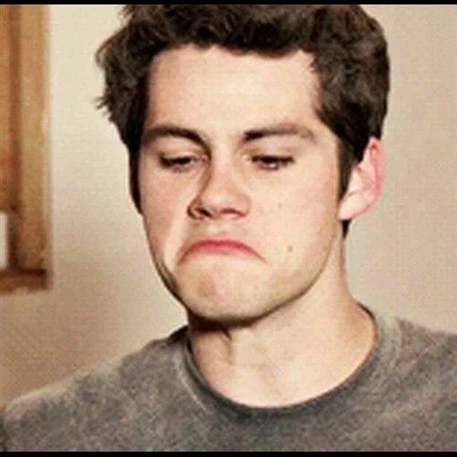 dylan o’brien, styles wolf cub, styles, série wolf cub styles, stiles stilinski dylan o'brien