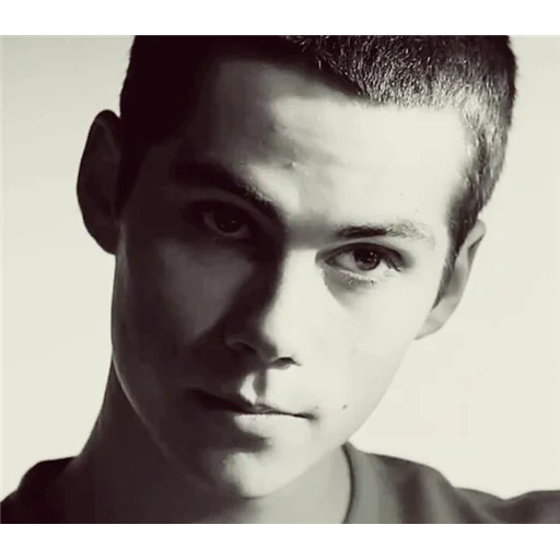 dylan o’brien, styles, if you go through hell do not stop, wolf cub, o brien