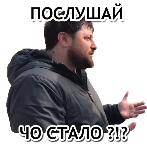 рамзан, скриншот, кадыров дон, рамзан кадыров извинись, рамзан ахматович кадыров