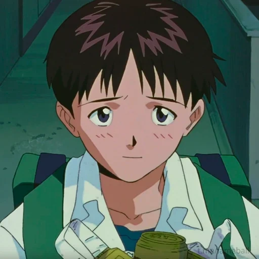 évangéliques, shinji ikari, evangile d'ikari, division des croyances évangéliques, evangile de shinji ikari