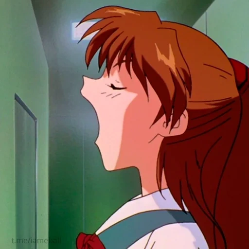 humano, personajes de anime, manga de evangelio, asuka evangelion 1995, evangelion fanservice