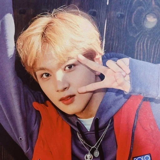 nct, nct хэчан, winwin nct, nct haechan, чонин чимин