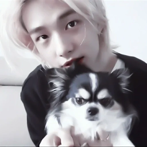 cão, com hyun-jin, cães adoráveis, os animais são fofos, cachorro namorado