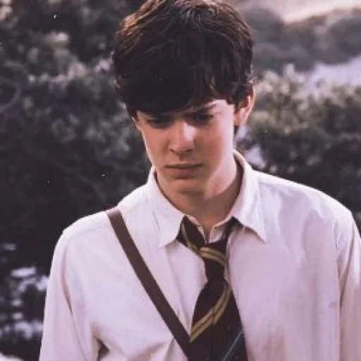 die narnia, skandal keynes, prince caspian, narnia chronik, skandal keynes chronik von narnia