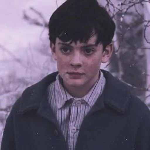 the boy, skandal keynes, edmund pevensey, jetzt skandalös keynes, narnia edmund chronik