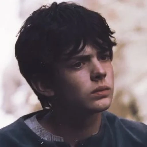 harry, i ragazzi, edmund pevensey, bel ragazzo, serie tv di gilbert blyth