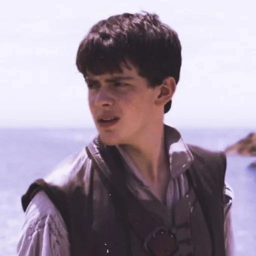 the boy, narnia chronik, edmund narnia chronicle, narnia chronicle von edmund pevensey, edmund der eroberer im morgengrauen der chroniken von narnia