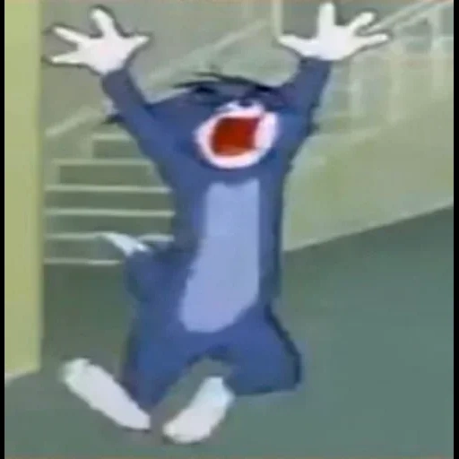 кот, том джерри, том джерри крик тома, том джерри том смеется, tom and jerry scream compilation