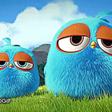 angry birds, engry berdz blue birds, angry birds blues cartoon, angry birds blues multicerian series, angry birds fluffs season 1 episode 12