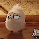 angry birds, angry birds 3, angry birds film, angry birds film sts, the early hatchling gets the worm cartoon 2016