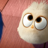 a toy, angry birds, the animals are cute, angry birds cute, angry birds cinema