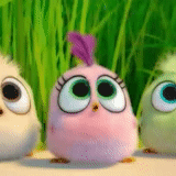 angry birds, angry birds film, engry birds küken, engelvögel 2 küken, engry vögel küken cartoon