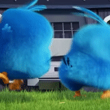 angry birds, jeu angry birds, jeu de blues en colère, dessin animé blues blues, angry birds blues animated series frames
