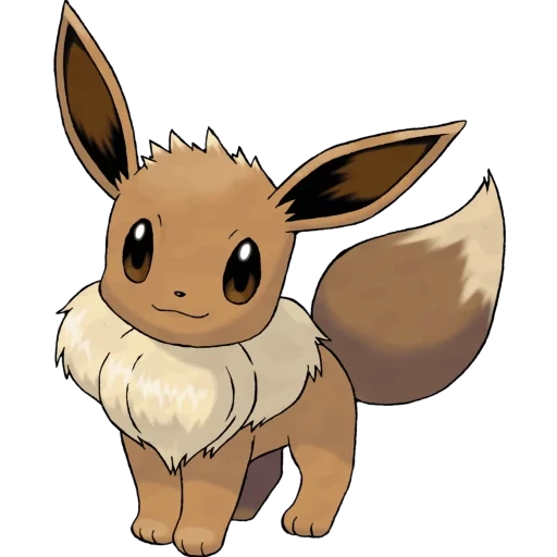 eevee, pokémon, eveee pokemon, pokémon, eevee intérprete