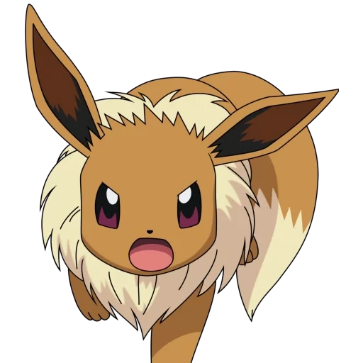 eeevee, pokémon, pokemon ed, pokemon eeevee, eevee pokemon