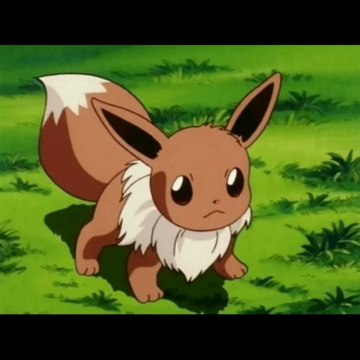 eevee, pokemon, eevee amv, evie pokemon, eevee pokemon