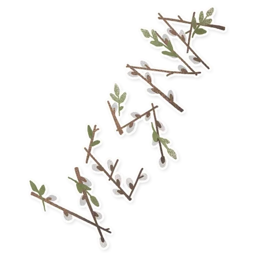 thyme, timyan branch, timyan a twig, a twig of a thyme, on a transparent background