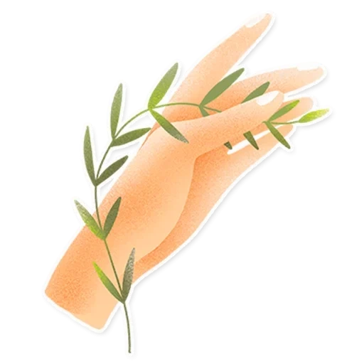 mano, partes del cuerpo, vector de brazo, pegatinas de uñas