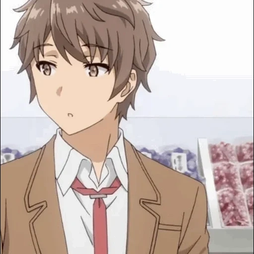 anime boy, sonoda achuan, sakuta azusagawa, sada ozawa, seishun buta yarou wa bunny