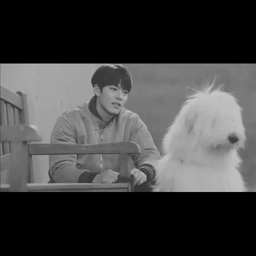азиат, собака, собачки, корея актеры, корейские актеры