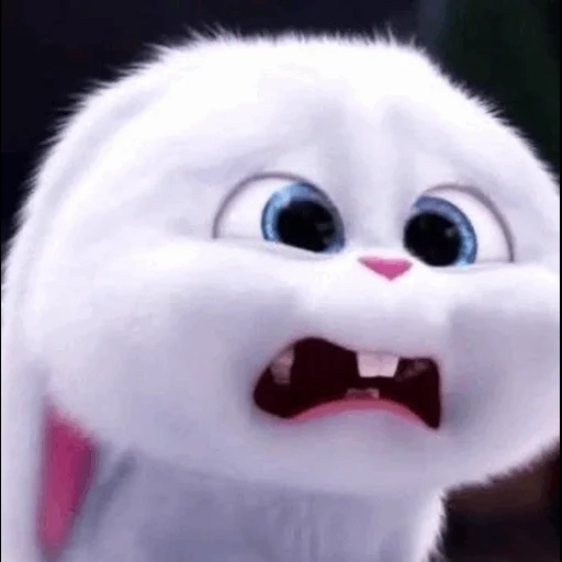 boule de neige de lapin, rabbit cartoon snowball, vie secrète des animaux de compagnie 2 boule de neige, dernière vie des animaux de compagnie rabbit snowball, secret life of pets 2 rabbit snowball